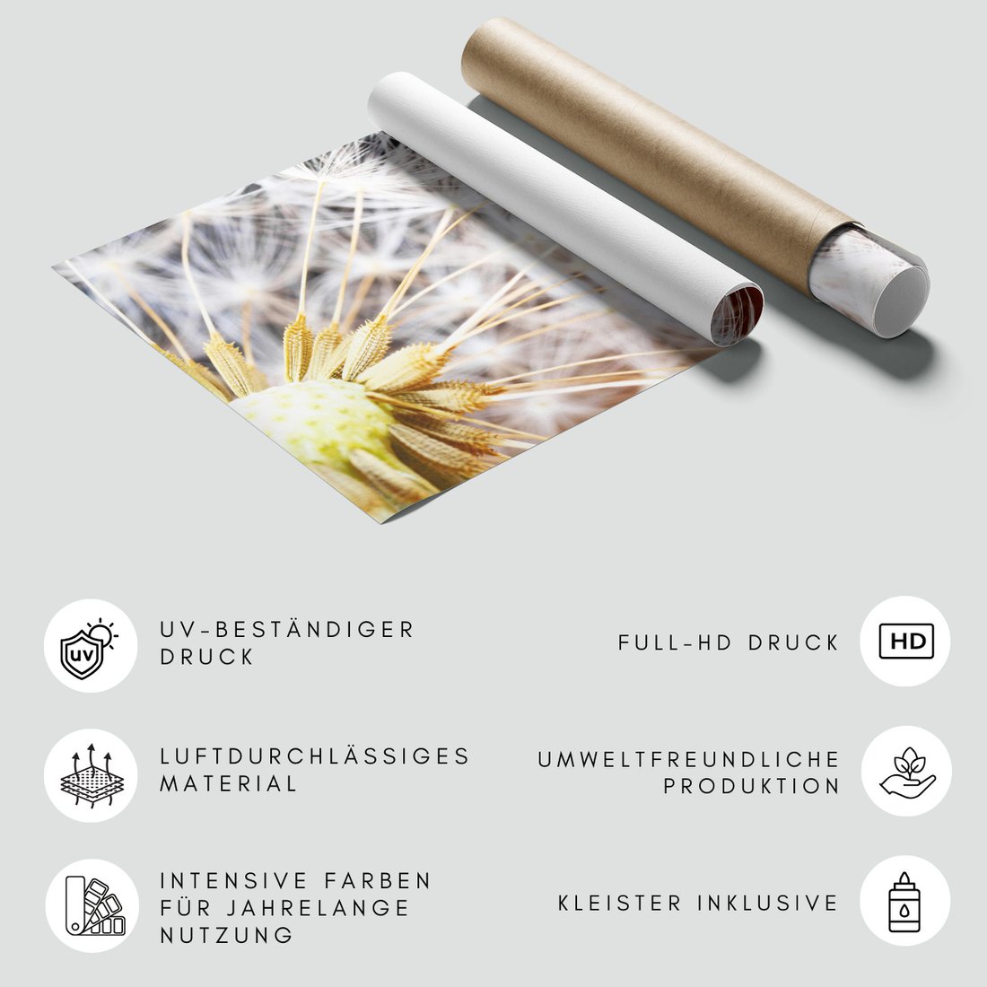 Fototapeta - dmuchawiec, natura, nasiona