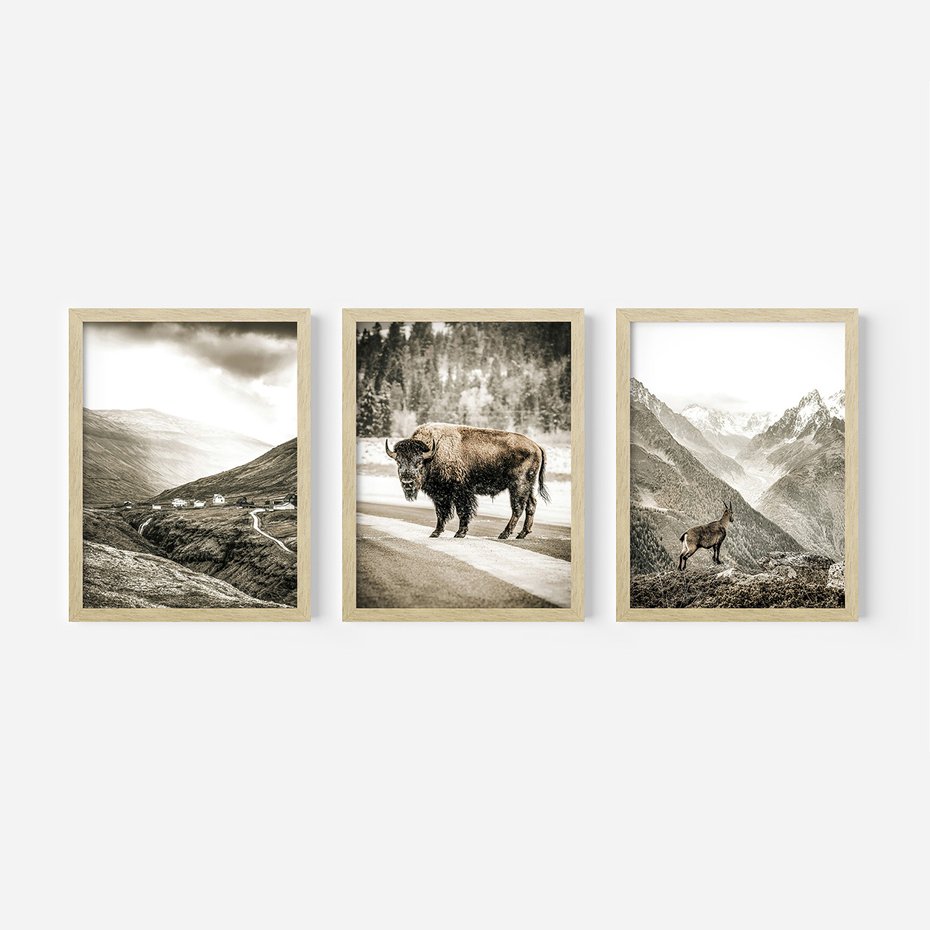 Zestaw obrazy w ramie, plakaty - krajobraz, zwierzę, góry - rama drewno