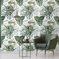 Tapeta - liście, monstera, rośliny