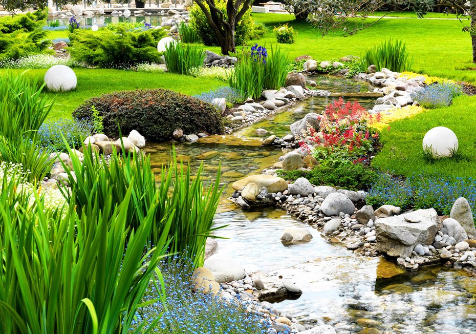 Fototapeta - strumień, ogród, natura