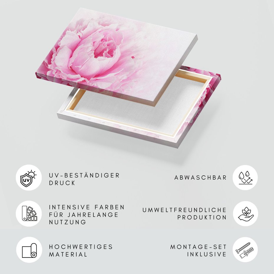 Obraz na płótnie - kwiat, płatki, różowy