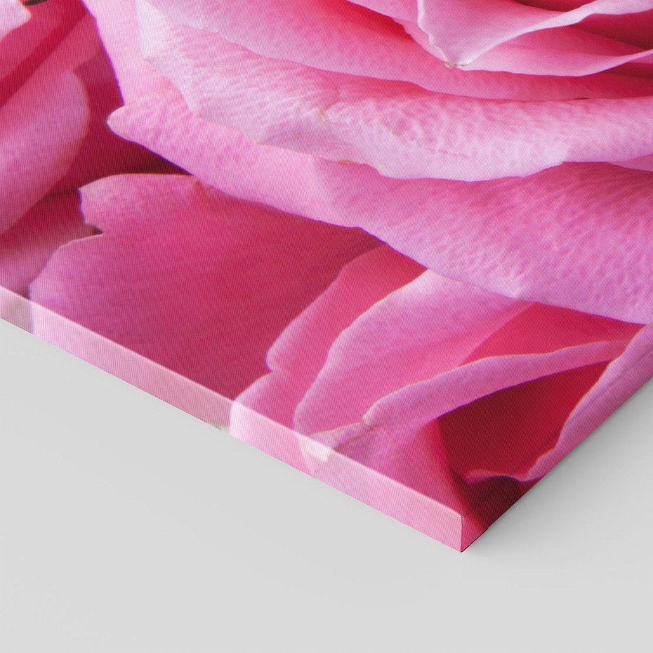 Obraz na płótnie - róża, kwiat, płatki