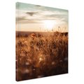 Obraz na płótnie - łąka, kwiaty, zachód słońca