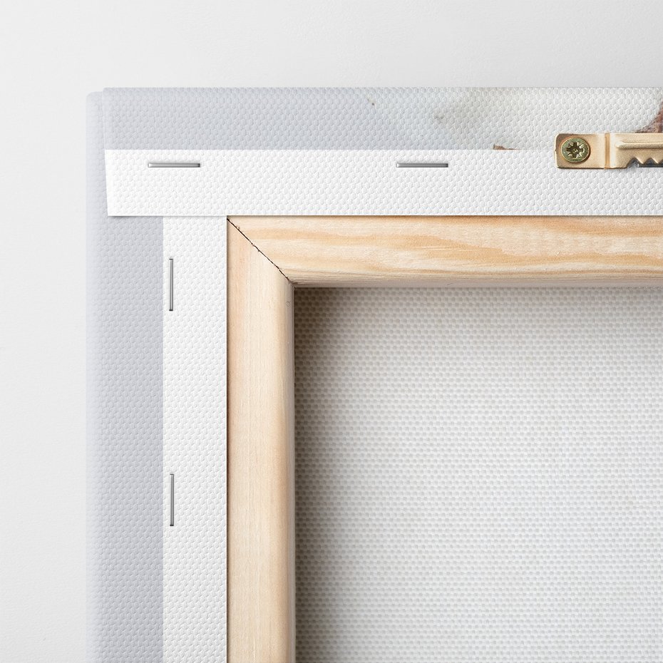 Obraz na płótnie - bawełna, roślina, biel