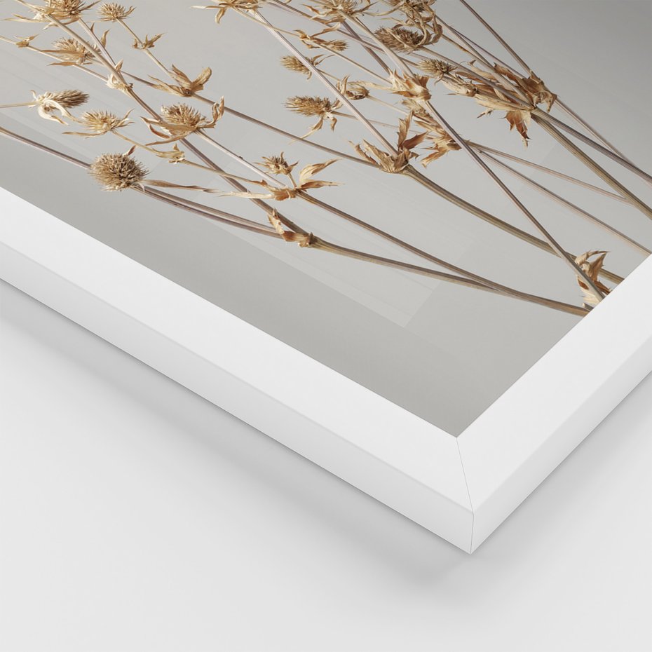 Zestaw obrazy w ramie, plakaty - kwiaty,rośliny,suszone, - rama biała