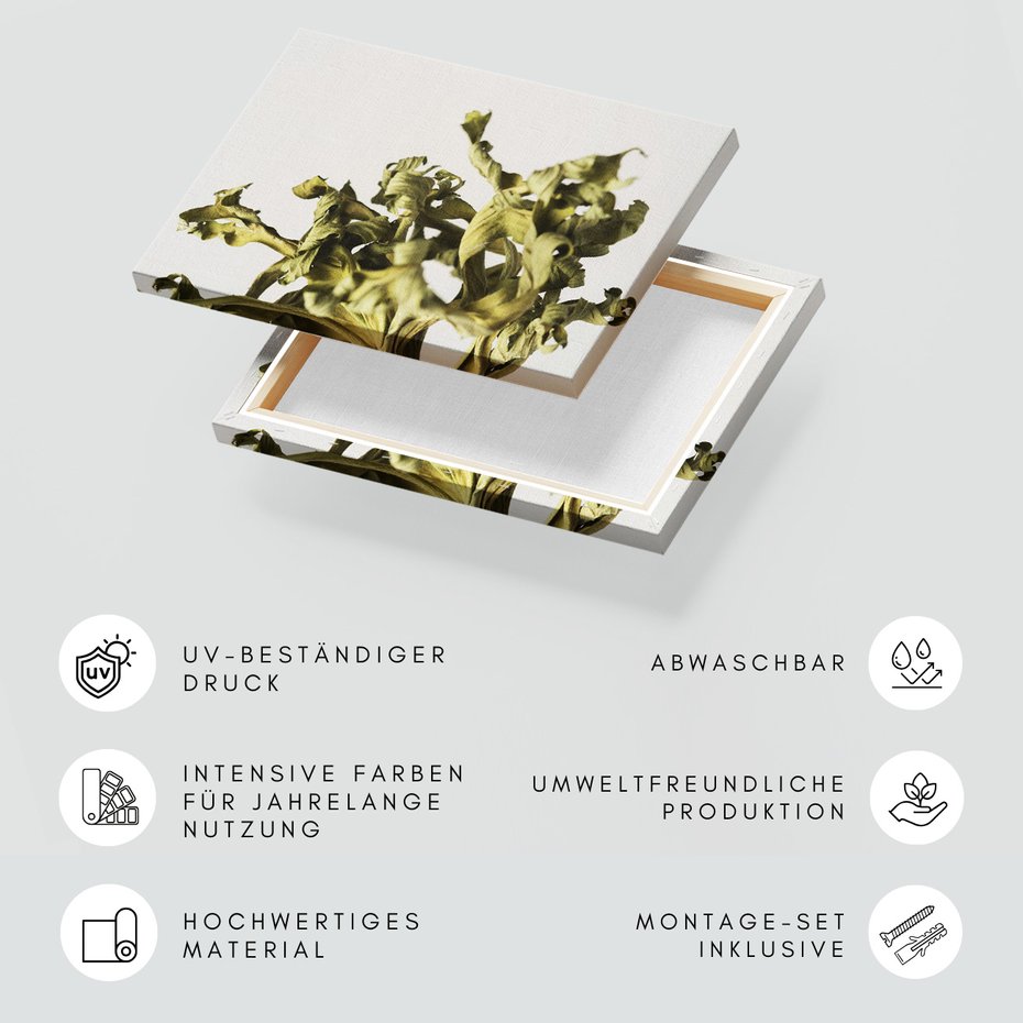 Obraz na płótnie - liście, suche, roślina