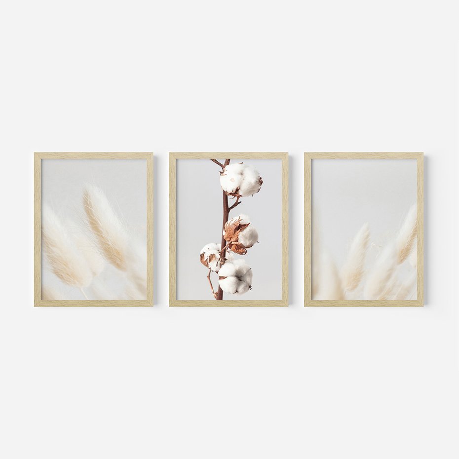 Zestaw obrazy w ramie, plakaty - bawełna, trawa, puszysty - rama drewno