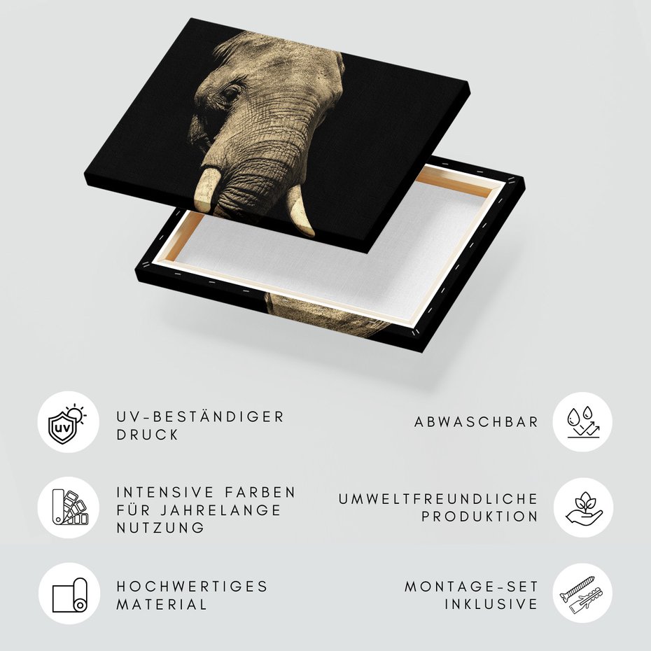 Obraz na płótnie - słoń, zwierzę, afrykański