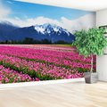 Fototapeta - kwiaty, tulipany, góry