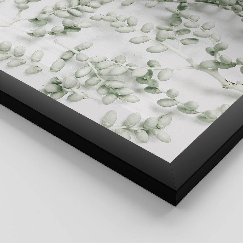 Zestaw obrazy w ramie, plakaty - liście, roślina, gałązka - rama czarna