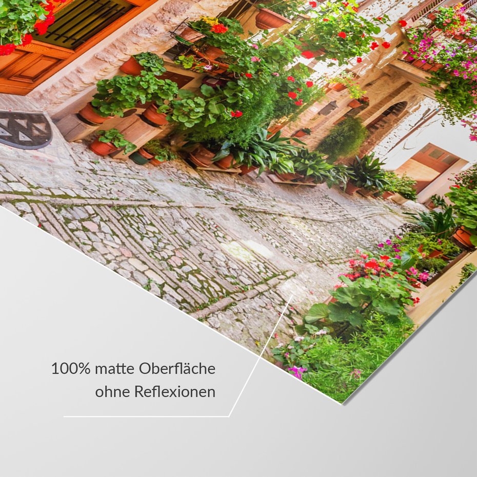 Fototapeta - uliczka, kwiaty, doniczki