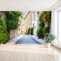 Fototapeta - uliczka, kwiaty, roślinność