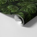 Tapeta - liście, monstera, tropiki
