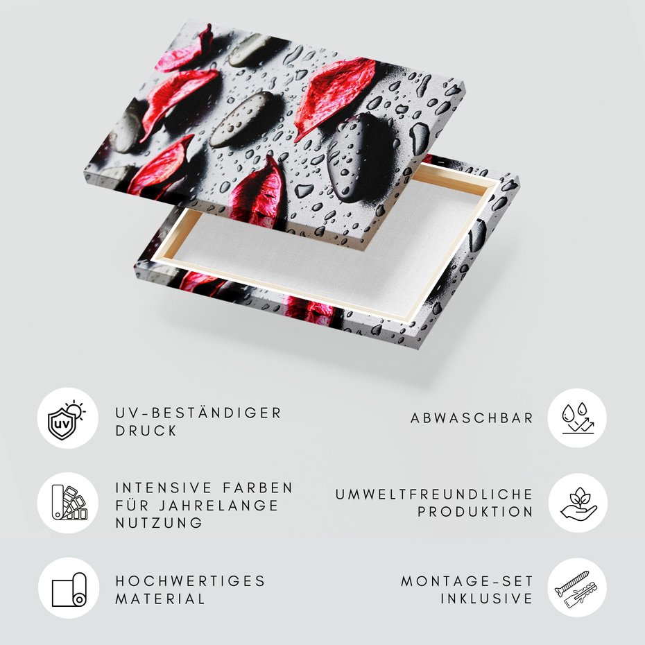 Obraz na płótnie - kwiaty, kamienie, woda