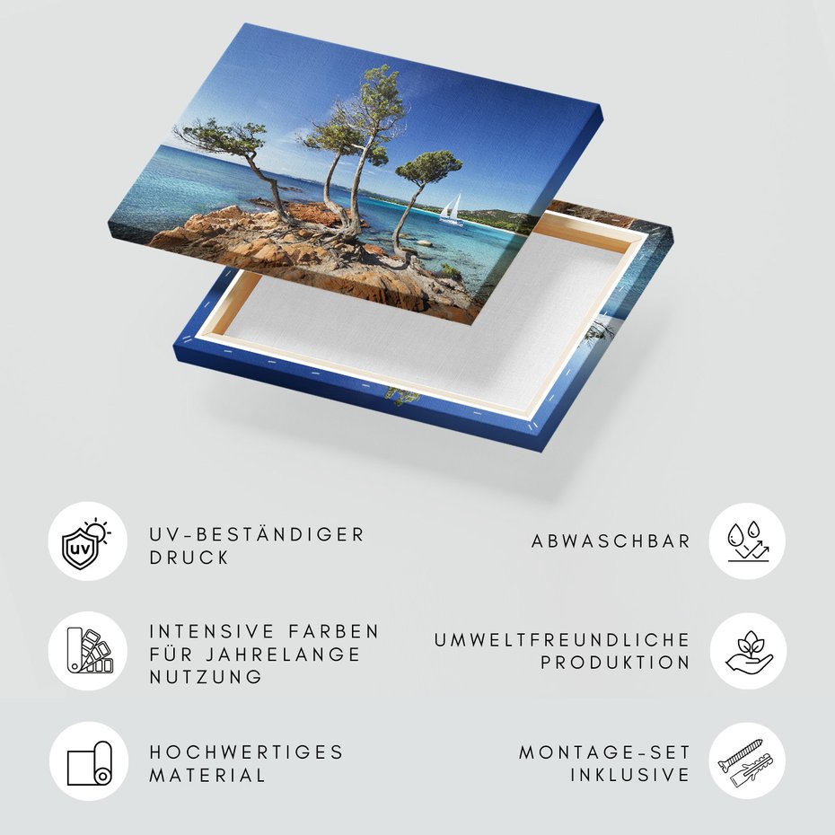 Obraz na płótnie - plaża, morze, drzewa