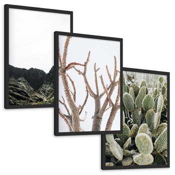 Zestaw obrazy w ramie, plakaty - góry, kaktus, rośliny - rama czarna
