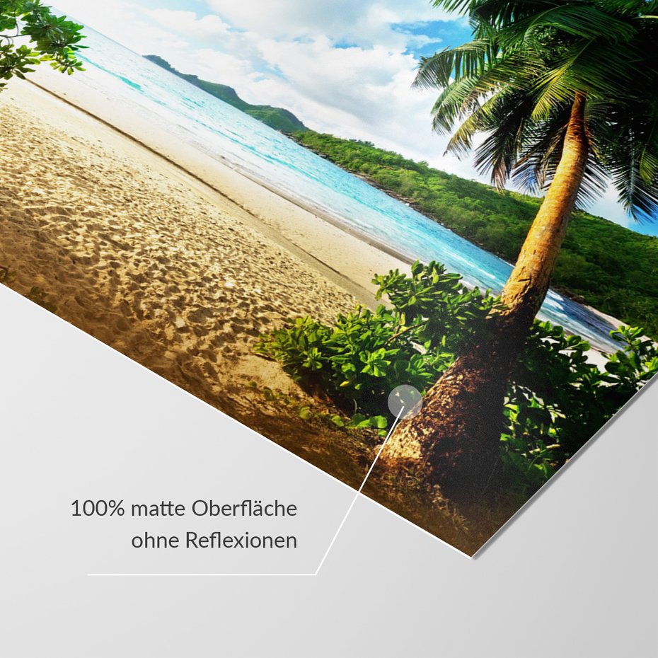 Fototapeta - plaża, palmy, morze