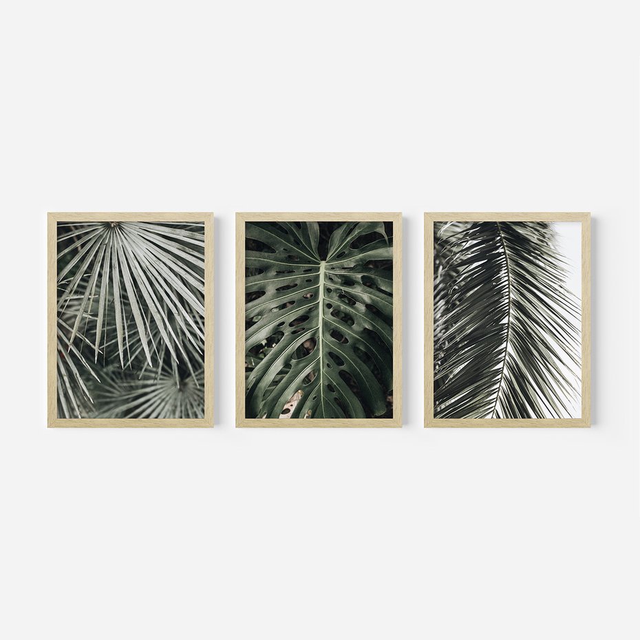 Zestaw obrazy w ramie, plakaty - liście, palmy, tropikalne - rama drewno