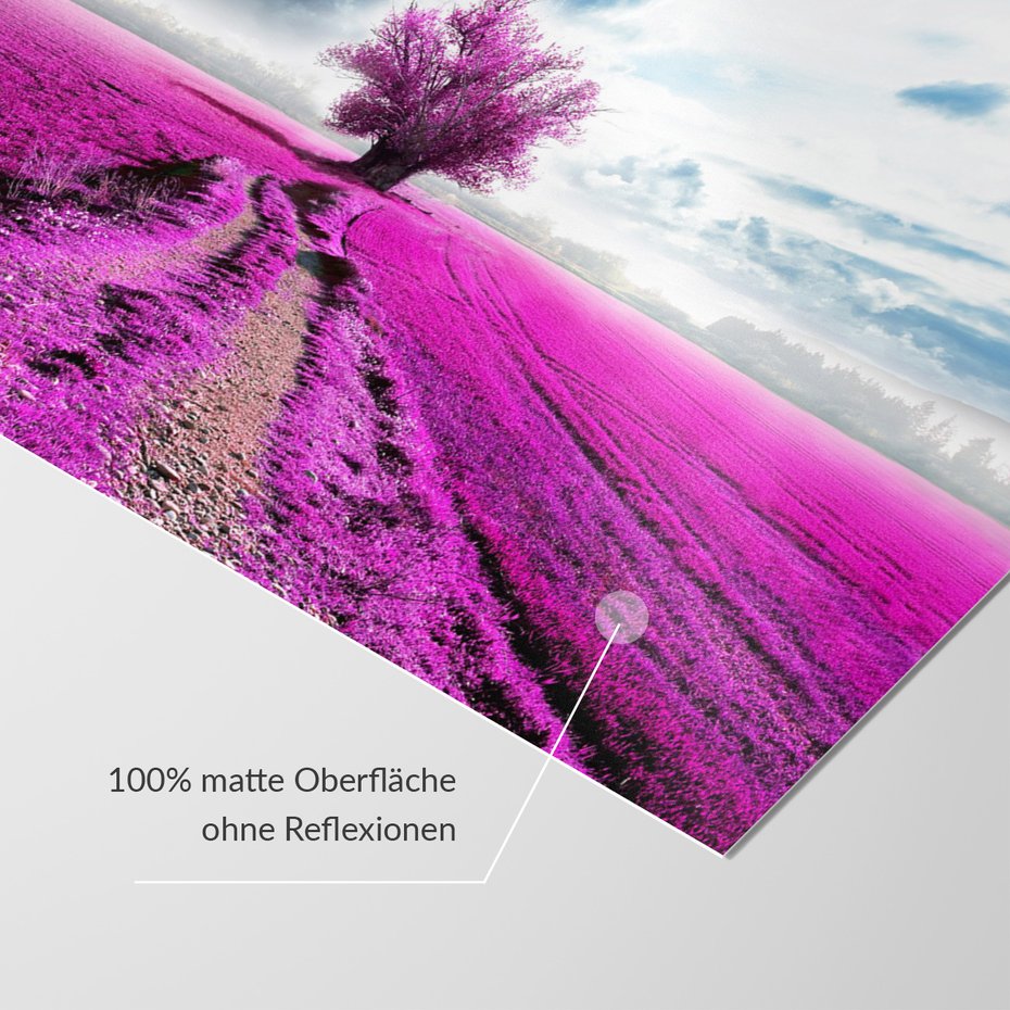 Fototapeta - pole, drzewo, różowy