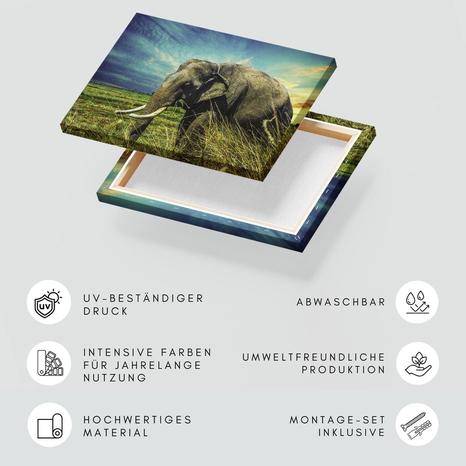 Obraz na płótnie - słoń, trawa, natura