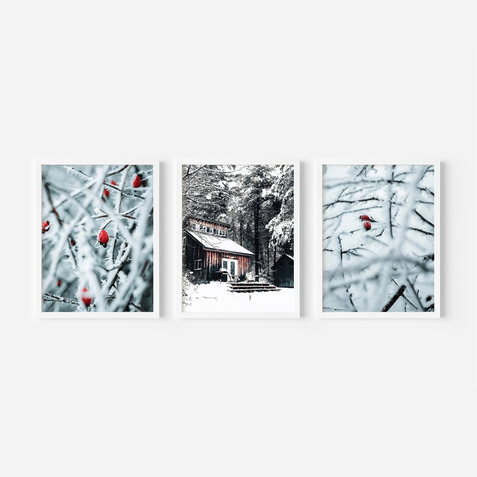 Zestaw obrazy w ramie, plakaty - zima, śnieg, mróz - rama biała