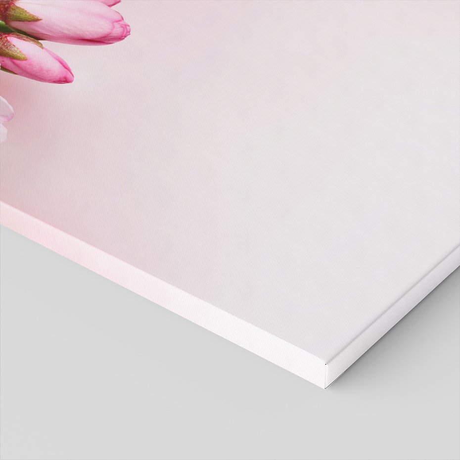 Obraz na płótnie - kwiaty, różowy, wiosna