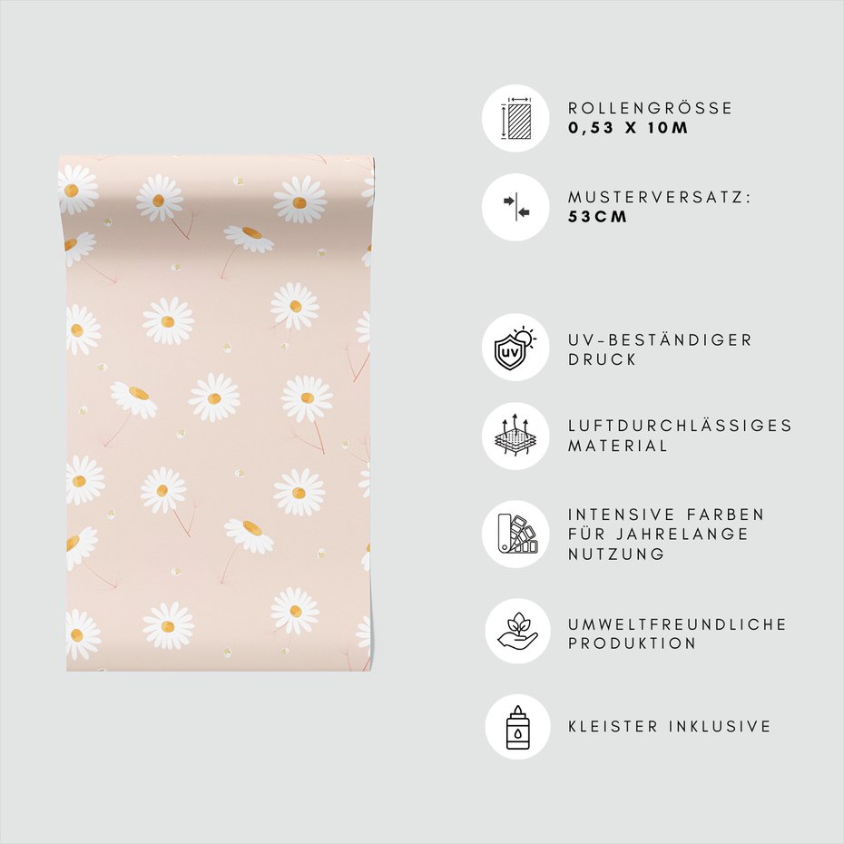 Tapeta - kwiaty, stokrotki, tło