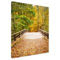 Obraz na płótnie - jesień, most, liście