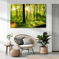 Obraz na płótnie - las, drzewa, słońce