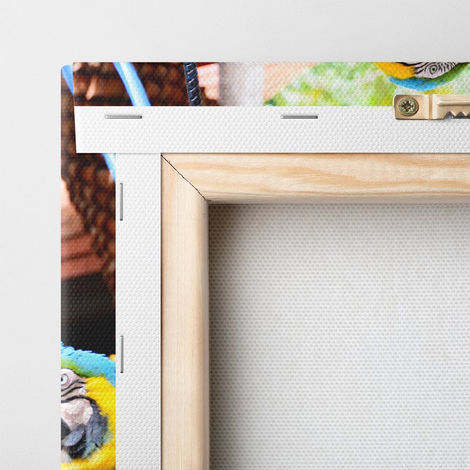 Obraz na płótnie - papugi, ary, tropikalne