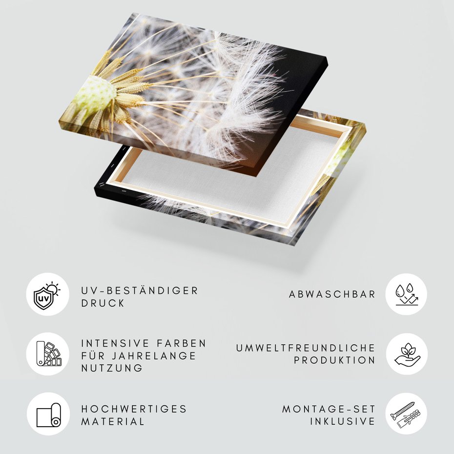 Obraz na płótnie - dmuchawiec, nasiona, makro