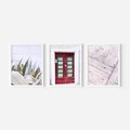 Zestaw obrazy w ramie, plakaty - rośliny, drzwi, drewno - rama biała