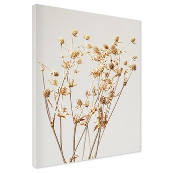 Obraz na płótnie - kwiaty, suszone, beżowe