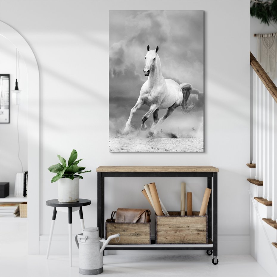 Obraz na płótnie - koń, zwierzę, galop