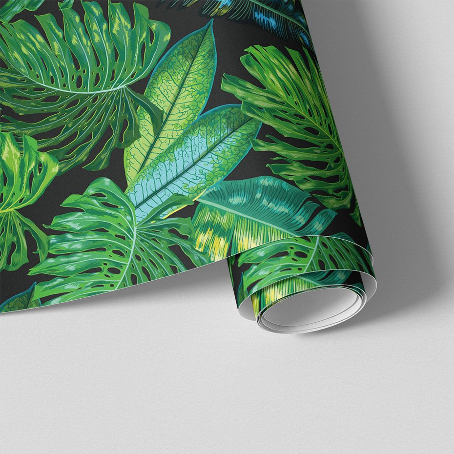 Tapeta - liście, natura, monstera