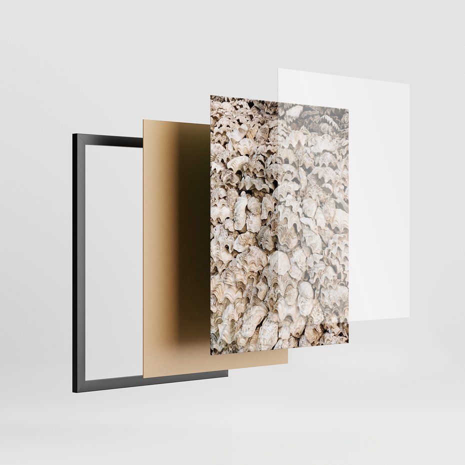 Zestaw obrazy w ramie, plakaty - muszle, morze, liście - rama czarna