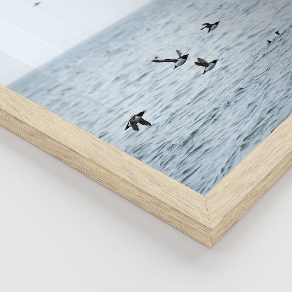 Zestaw obrazy w ramie, plakaty - ptaki, morze, łodzie - rama drewno