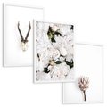 Zestaw obrazy w ramie, plakaty - kwiaty, minimalizm, roślina - rama biała