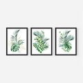 Zestaw obrazy w ramie, plakaty - liście, rośliny, tropikalne - rama czarna