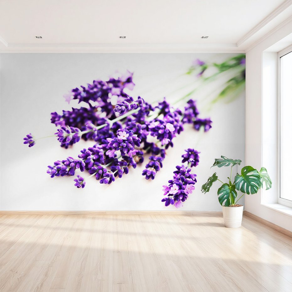 Fototapeta - lawenda, kwiaty, fioletowy