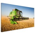 Obraz na płótnie - kombajn, rolnictwo, żniwa