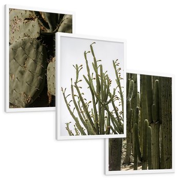 Zestaw obrazy w ramie, plakaty - kaktusy, rośliny, zielony - rama biała