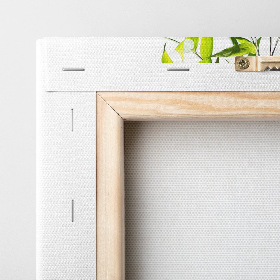 Obraz na płótnie - kamienie, kwiat, woda