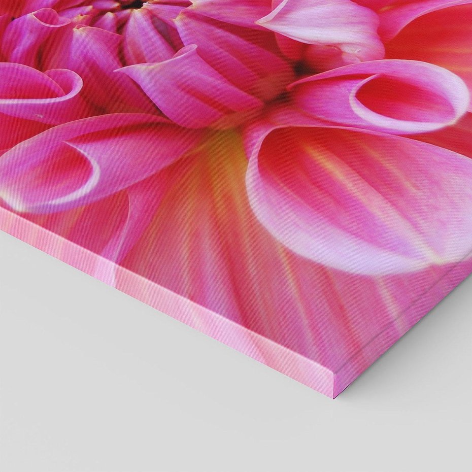 Obraz na płótnie - kwiat, dalia, płatki