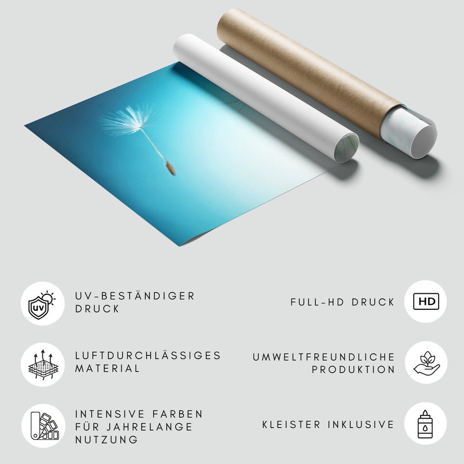 Fototapeta - dmuchawiec, nasiona, natura