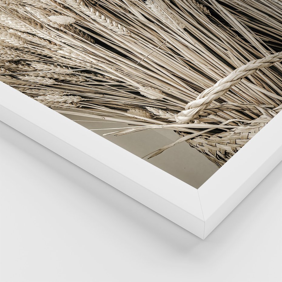 Zestaw obrazy w ramie, plakaty - wieś, rolnictwo, plony - rama biała