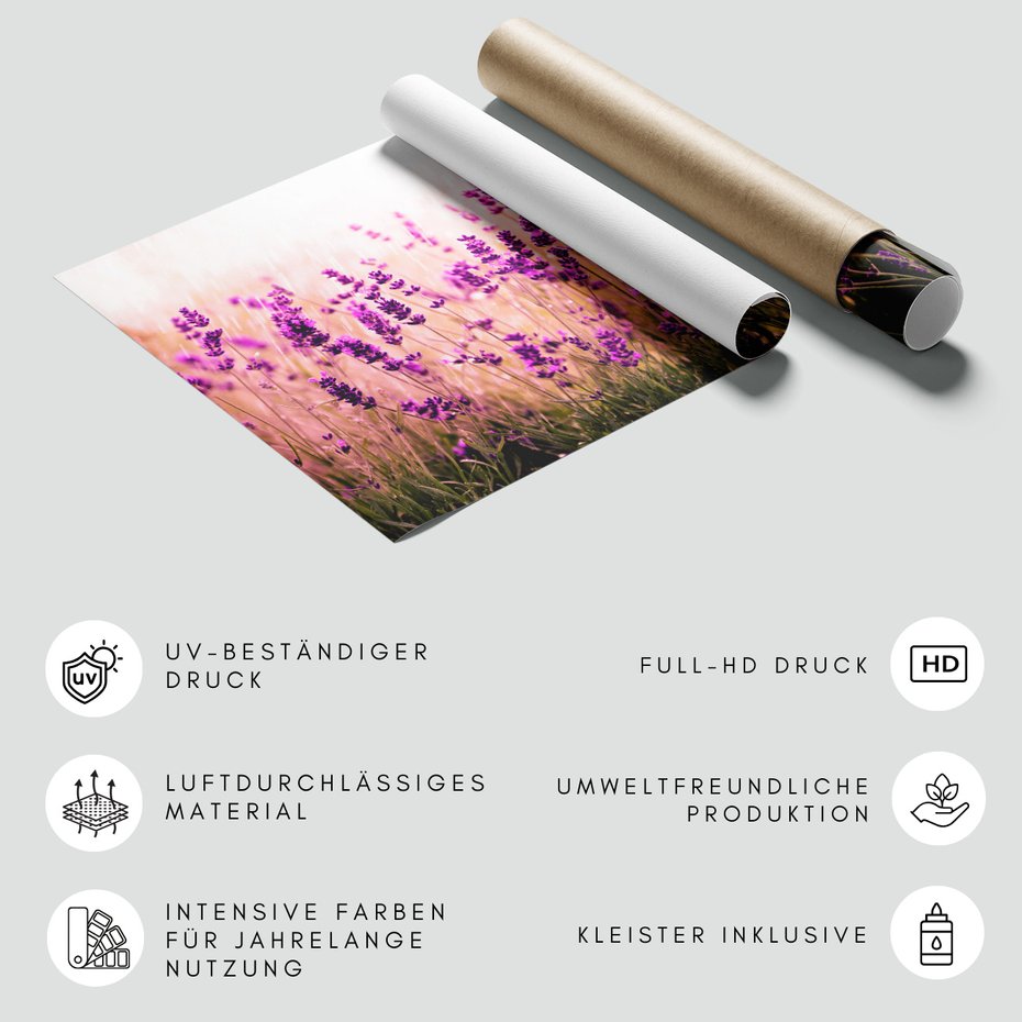 Fototapeta - lawenda, kwiaty, natura