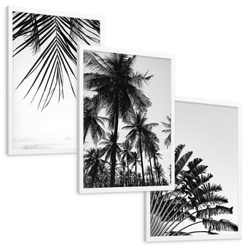 Zestaw obrazy w ramie, plakaty - palmy, liście, tropikalne - rama biała