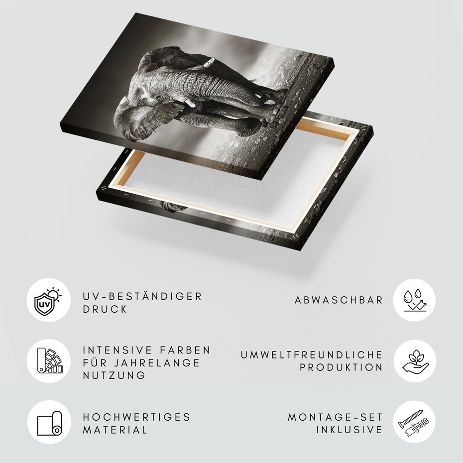 Obraz na płótnie - słoń, afrykański, ssak