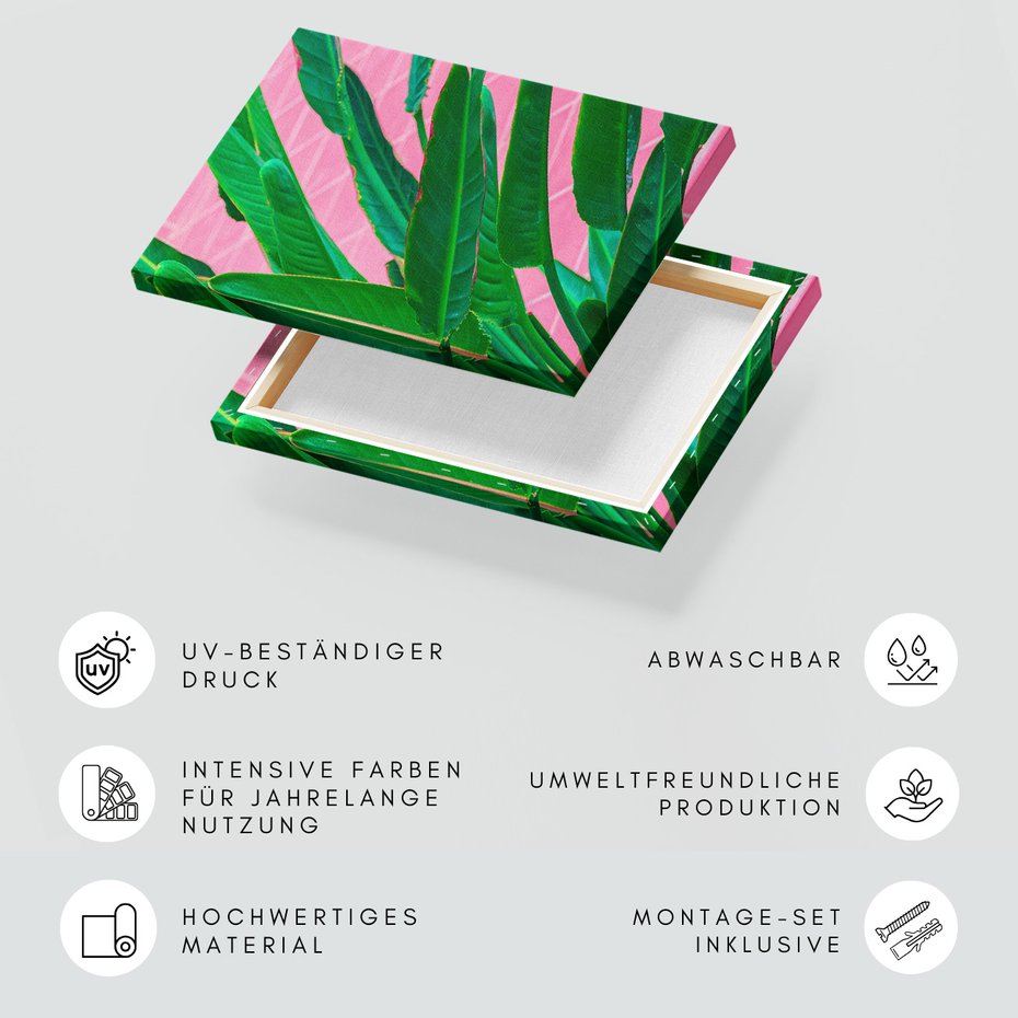 Obraz na płótnie - liście, roślina, różowy